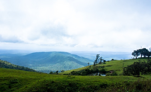 普尔带队顽 普尔带队顽