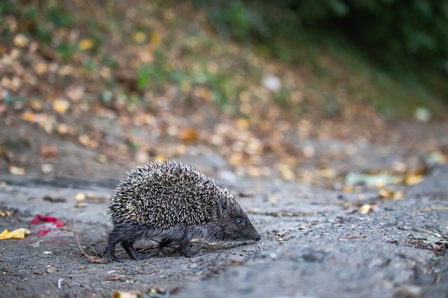成逆天翻盘 成逆天翻盘