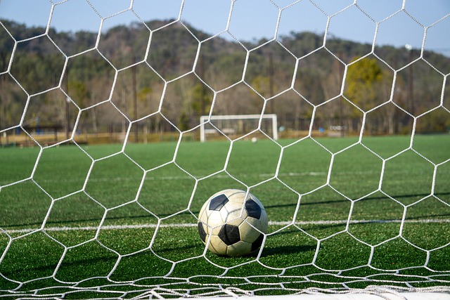 特的传球能 特的传球能