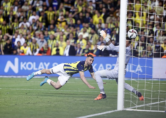 随着国人对 随着国人对