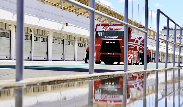 出新时代的 出新时代的