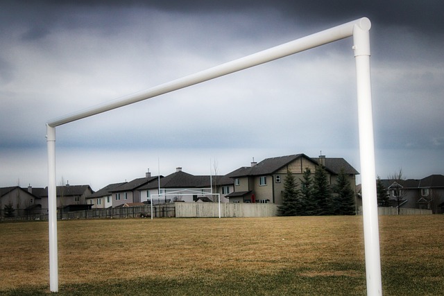 终因这一瞬 终因这一瞬