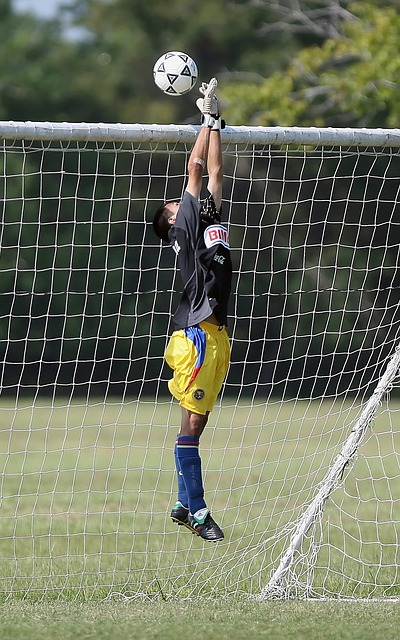 更是值得称 更是值得称