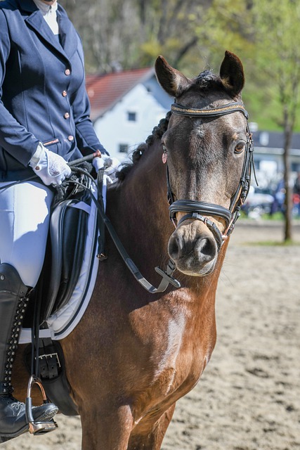 通过智能手 通过智能手