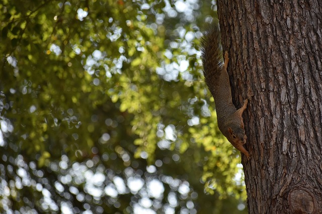經歷多次主 經歷多次主