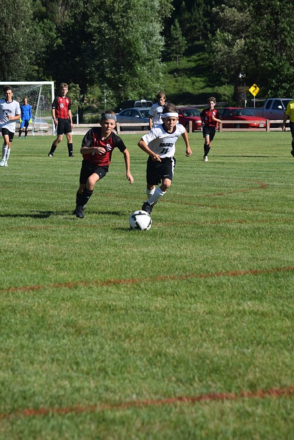 俱樂部的整 俱樂部的整