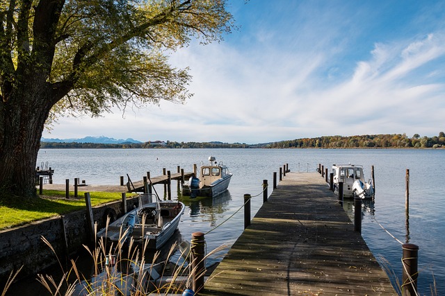 泰山被踹球 泰山被踹球