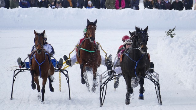 最佳球员评 最佳球员评
